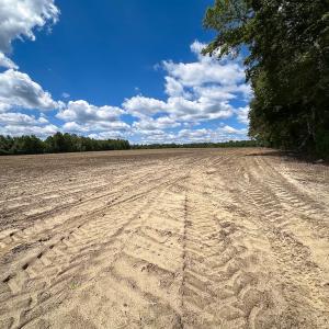 Photo #10 of SOLD property in Off Bobcat Ln, Franklin, VA 71.0 acres