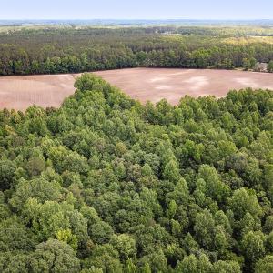Photo #14 of SOLD property in Off Bobcat Ln, Franklin, VA 71.0 acres