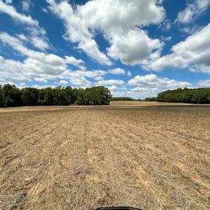 Photo #16 of SOLD property in Off Bobcat Ln, Franklin, VA 71.0 acres