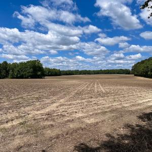 Photo #22 of SOLD property in Off Bobcat Ln, Franklin, VA 71.0 acres
