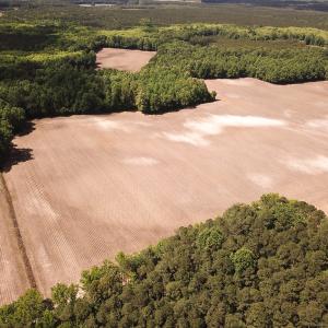 Photo #32 of SOLD property in Off Bobcat Ln, Franklin, VA 71.0 acres