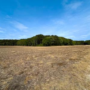 Photo #3 of SOLD property in Off Kegotank Rd, Nelsonia, VA 93.0 acres