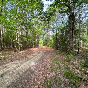 Photo #4 of SOLD property in Off Kegotank Rd, Nelsonia, VA 93.0 acres