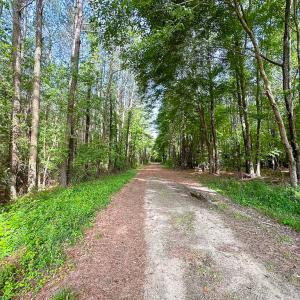 Photo #7 of SOLD property in Off Kegotank Rd, Nelsonia, VA 93.0 acres