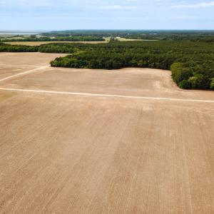 Photo #8 of SOLD property in Off Kegotank Rd, Nelsonia, VA 93.0 acres