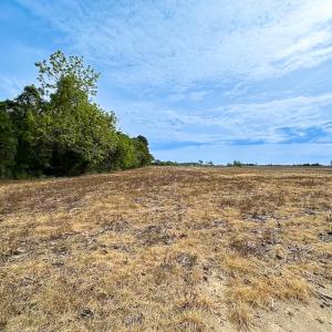 Photo #9 of SOLD property in Off Kegotank Rd, Nelsonia, VA 93.0 acres