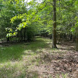 Photo #10 of SOLD property in Off Kegotank Rd, Nelsonia, VA 93.0 acres