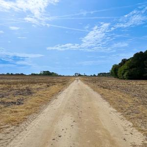 Photo #11 of SOLD property in Off Kegotank Rd, Nelsonia, VA 93.0 acres