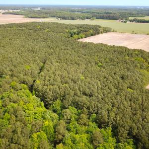 Photo #12 of SOLD property in Off Kegotank Rd, Nelsonia, VA 93.0 acres