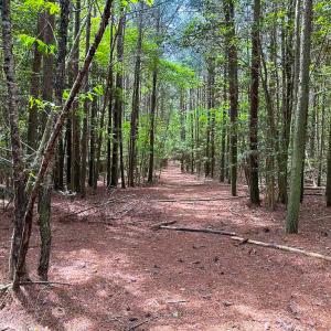 Photo #14 of SOLD property in Off Kegotank Rd, Nelsonia, VA 93.0 acres