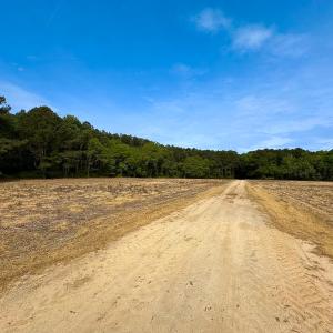 Photo #15 of SOLD property in Off Kegotank Rd, Nelsonia, VA 93.0 acres