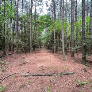 Photo #16 of SOLD property in Off Kegotank Rd, Nelsonia, VA 93.0 acres