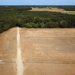 Photo #17 of SOLD property in Off Kegotank Rd, Nelsonia, VA 93.0 acres