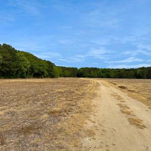 Photo #19 of SOLD property in Off Kegotank Rd, Nelsonia, VA 93.0 acres