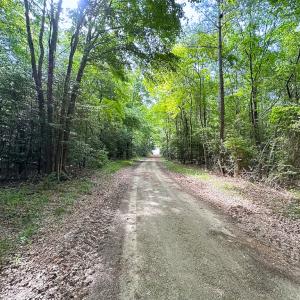 Photo #20 of SOLD property in Off Kegotank Rd, Nelsonia, VA 93.0 acres