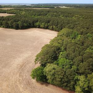 Photo #21 of SOLD property in Off Kegotank Rd, Nelsonia, VA 93.0 acres