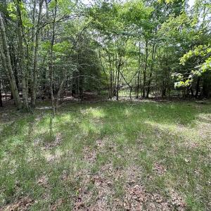 Photo #22 of SOLD property in Off Kegotank Rd, Nelsonia, VA 93.0 acres