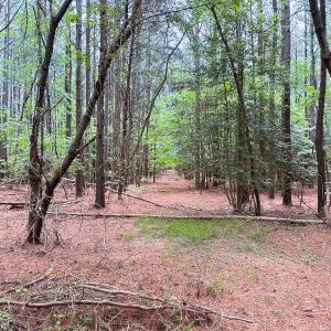 Photo #24 of SOLD property in Off Kegotank Rd, Nelsonia, VA 93.0 acres