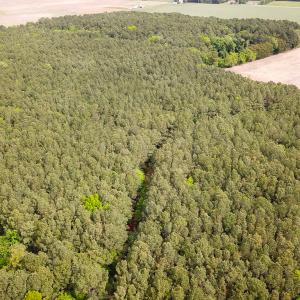 Photo #25 of SOLD property in Off Kegotank Rd, Nelsonia, VA 93.0 acres