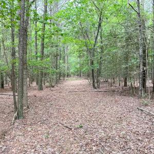 Photo #26 of SOLD property in Off Kegotank Rd, Nelsonia, VA 93.0 acres