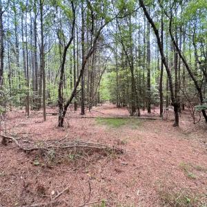 Photo #28 of SOLD property in Off Kegotank Rd, Nelsonia, VA 93.0 acres