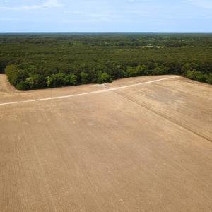 Photo #29 of SOLD property in Off Kegotank Rd, Nelsonia, VA 93.0 acres