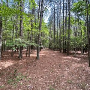Photo #30 of SOLD property in Off Kegotank Rd, Nelsonia, VA 93.0 acres
