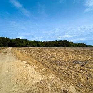 Photo #31 of SOLD property in Off Kegotank Rd, Nelsonia, VA 93.0 acres