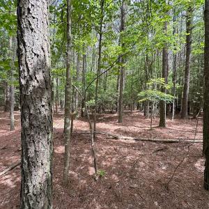 Photo #32 of SOLD property in Off Kegotank Rd, Nelsonia, VA 93.0 acres