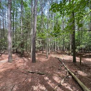 Photo #34 of SOLD property in Off Kegotank Rd, Nelsonia, VA 93.0 acres