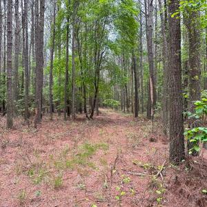 Photo #35 of SOLD property in Off Kegotank Rd, Nelsonia, VA 93.0 acres