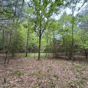Photo #36 of SOLD property in Off Kegotank Rd, Nelsonia, VA 93.0 acres