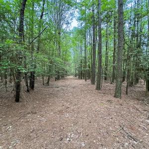 Photo #37 of SOLD property in Off Kegotank Rd, Nelsonia, VA 93.0 acres