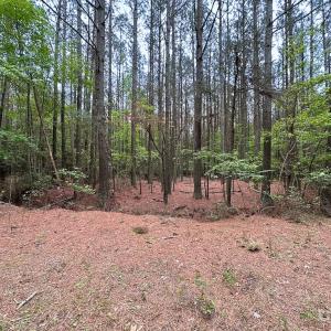 Photo #38 of SOLD property in Off Kegotank Rd, Nelsonia, VA 93.0 acres