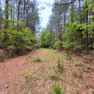 Photo #39 of SOLD property in Off Kegotank Rd, Nelsonia, VA 93.0 acres
