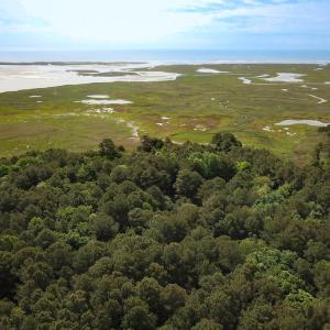 Photo #4 of SOLD property in Off Kegotank Rd, Nelsonia, VA 195.0 acres