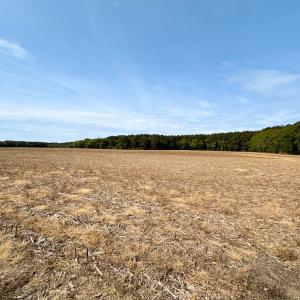 Photo #5 of SOLD property in Off Kegotank Rd, Nelsonia, VA 195.0 acres