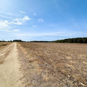 Photo #7 of SOLD property in Off Kegotank Rd, Nelsonia, VA 195.0 acres