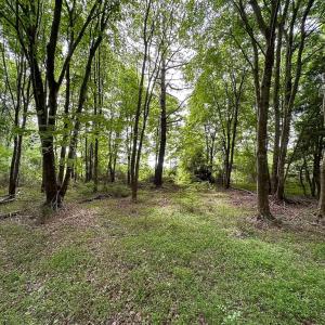 Photo #10 of SOLD property in Off Kegotank Rd, Nelsonia, VA 195.0 acres