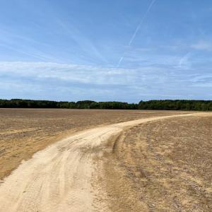 Photo #11 of SOLD property in Off Kegotank Rd, Nelsonia, VA 195.0 acres