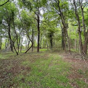 Photo #12 of SOLD property in Off Kegotank Rd, Nelsonia, VA 195.0 acres