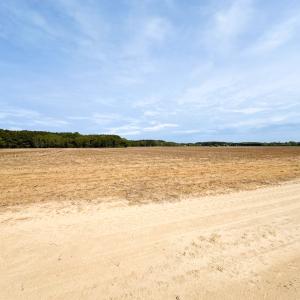 Photo #14 of SOLD property in Off Kegotank Rd, Nelsonia, VA 195.0 acres