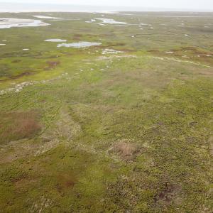 Photo #15 of SOLD property in Off Kegotank Rd, Nelsonia, VA 195.0 acres