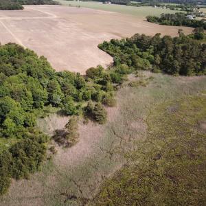 Photo #16 of SOLD property in Off Kegotank Rd, Nelsonia, VA 195.0 acres