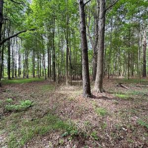 Photo #17 of SOLD property in Off Kegotank Rd, Nelsonia, VA 195.0 acres