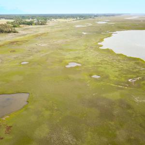 Photo #18 of SOLD property in Off Kegotank Rd, Nelsonia, VA 195.0 acres