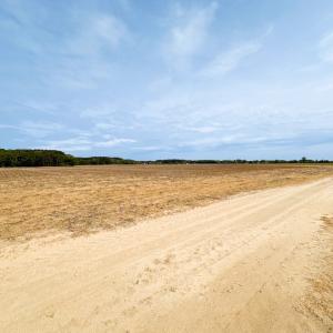 Photo #19 of SOLD property in Off Kegotank Rd, Nelsonia, VA 195.0 acres
