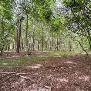 Photo #20 of SOLD property in Off Kegotank Rd, Nelsonia, VA 195.0 acres