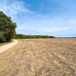 Photo #23 of SOLD property in Off Kegotank Rd, Nelsonia, VA 195.0 acres