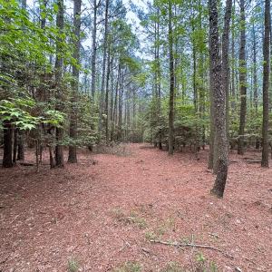 Photo #26 of SOLD property in Off Kegotank Rd, Nelsonia, VA 195.0 acres